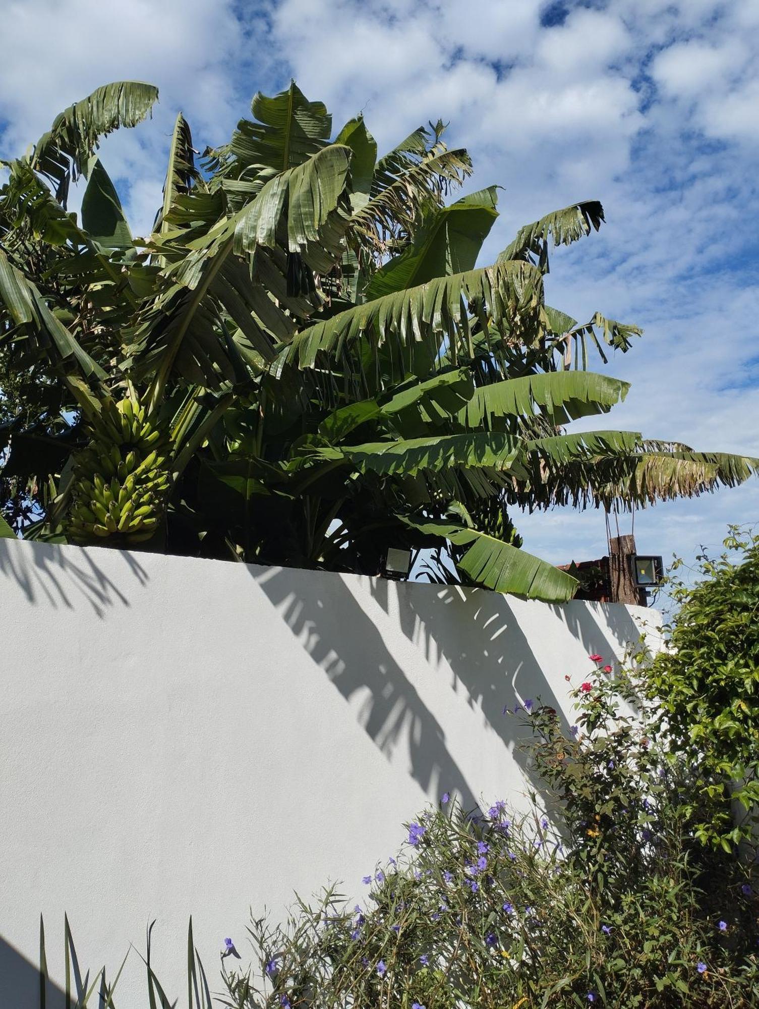 Brisas Iguazu Apartment Puerto Iguazu Ngoại thất bức ảnh